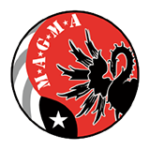 MAGMA SECURITY CONSULTANTS (PTY) LTD logo